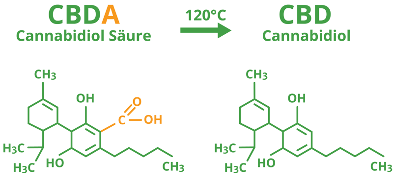 CBDa ist die inaktive Vorstufe von CBD